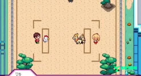 一次交易大师冷狐版