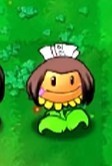植物大战僵尸火影版菜单版