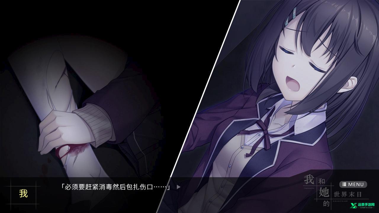 我和她的世界末日手机版