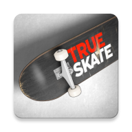 True Skate官方版