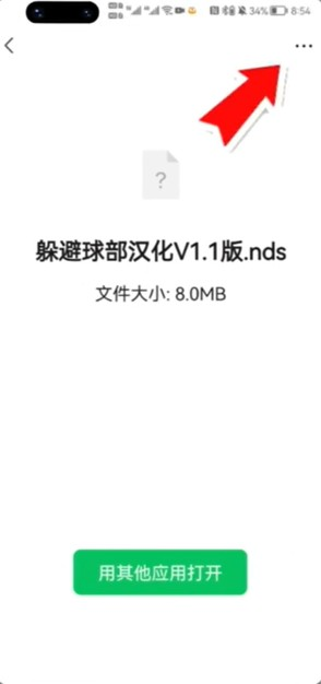 NDS模拟器安卓版