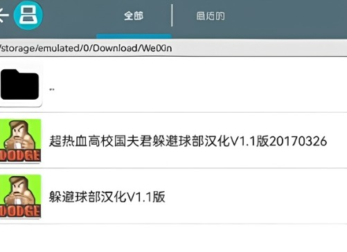 NDS模拟器安卓版