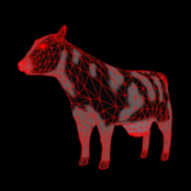 无人机保护动物手机版