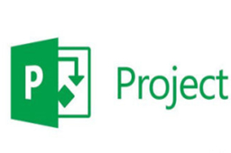 Microsoft Project2010