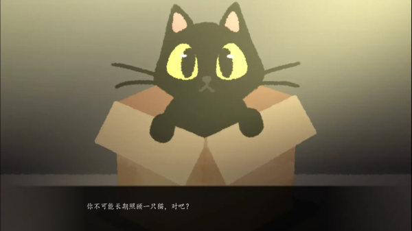 别带这只猫回家截图3