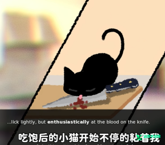 别带这只猫回家