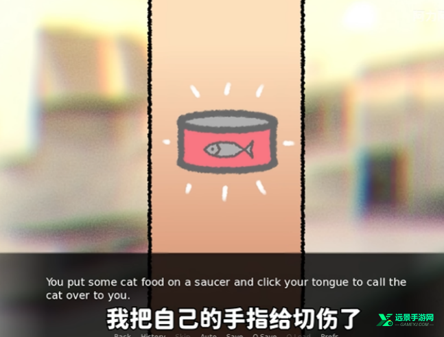 别带这只猫回家
