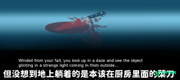 别带这只猫回家