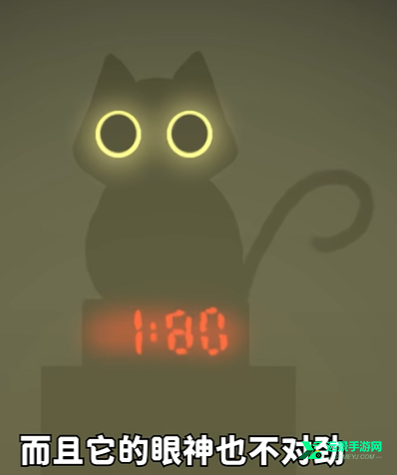 别带这只猫回家