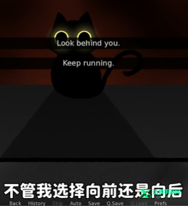 别带这只猫回家
