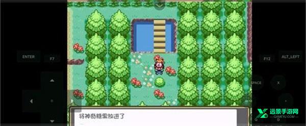 口袋妖怪燃之智手机版