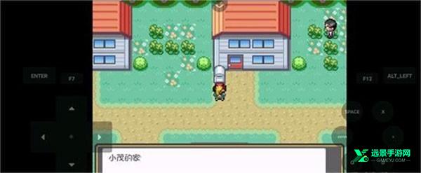 口袋妖怪燃之智手机版