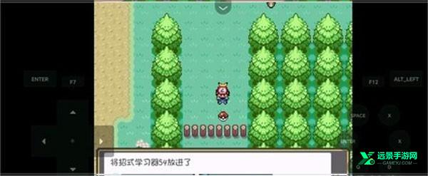 口袋妖怪燃之智手机版