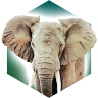 方舟动物园安卓版