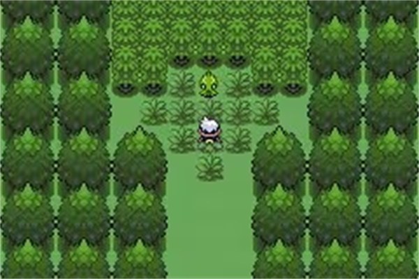 口袋妖怪漆黑魅影