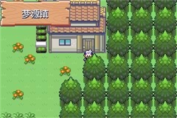 口袋妖怪漆黑魅影