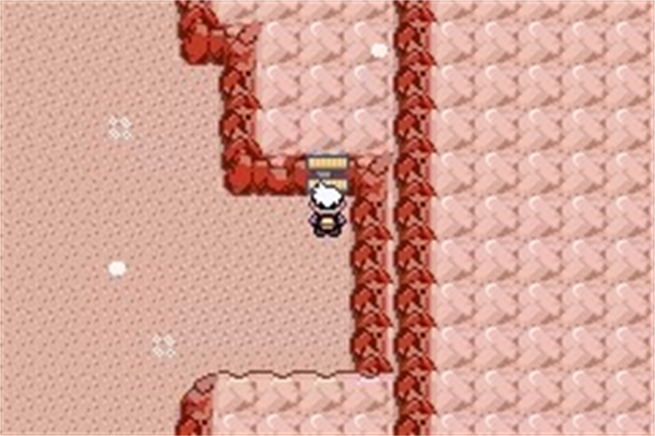 口袋妖怪漆黑魅影