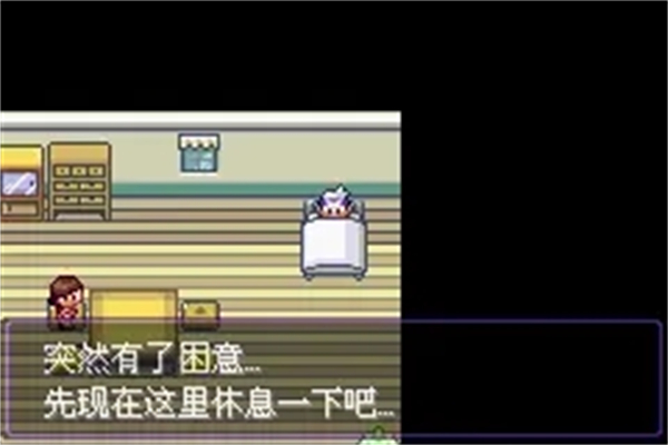 口袋妖怪漆黑魅影