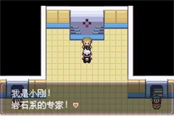 口袋妖怪漆黑魅影