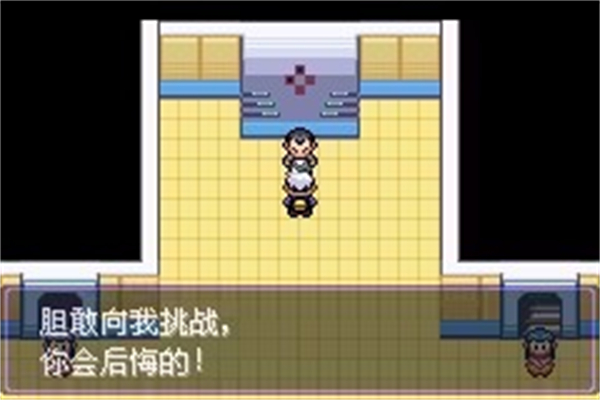 口袋妖怪漆黑魅影