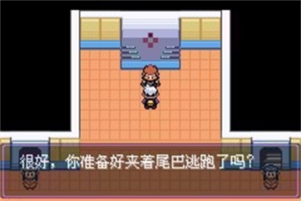 口袋妖怪漆黑魅影