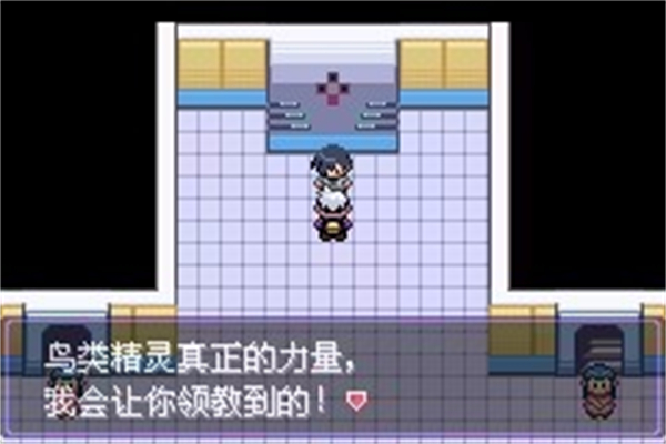 口袋妖怪漆黑魅影