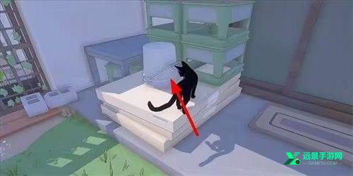 小猫咪大城市免费版