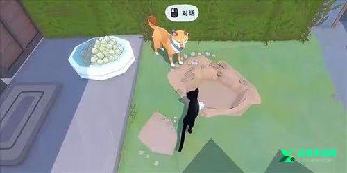 小猫咪大城市免费版