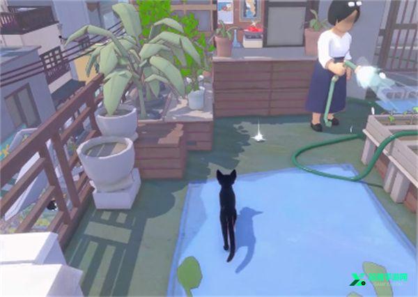 小猫咪大城市免费版