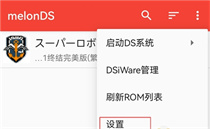 MelonDS模拟器安卓版