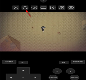 女王的继承者游戏