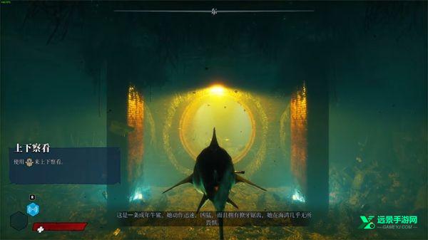 食人鲨手游官方版