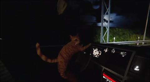 猫司机游戏手机版