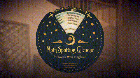 波坦尼庄园官方版