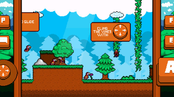 最后的金刚鹦鹉