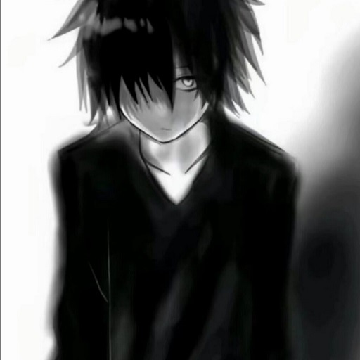 夜羽弱网安卓版