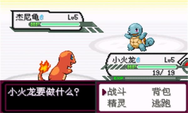 口袋妖怪最后的火红