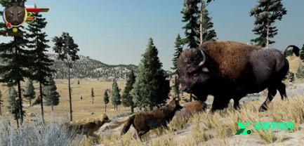 野狼迷踪手机版