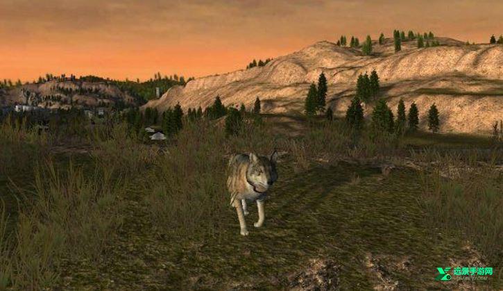 野狼迷踪手机版