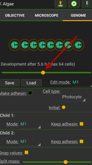 细胞实验室游戏