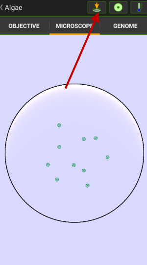 细胞实验室游戏