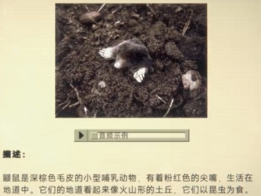 家庭安全热线游戏