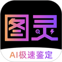 图灵鉴定官方版