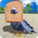 鸽子模拟器手机版