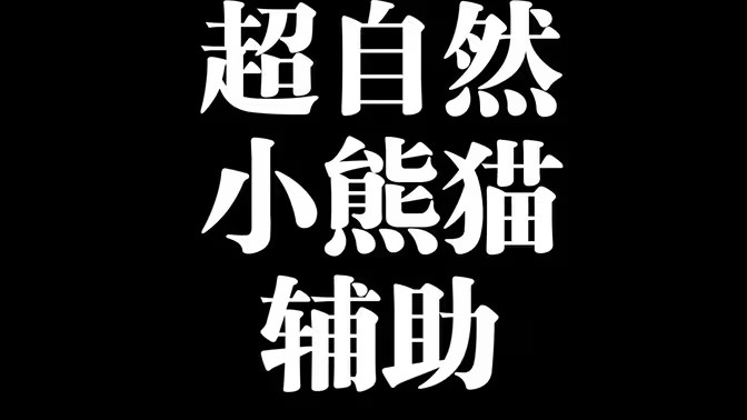 小熊猫辅助器版本大全