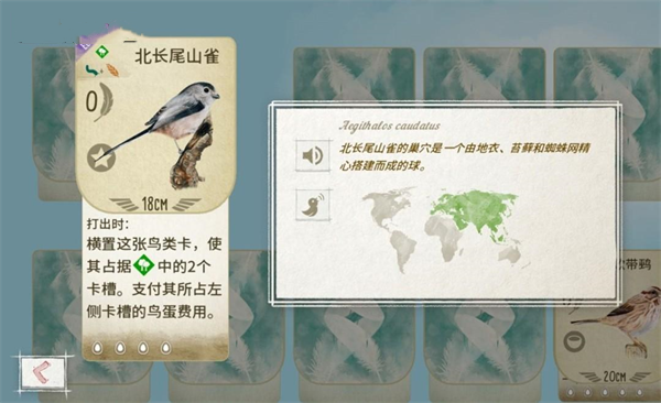 展翅翱翔手机版