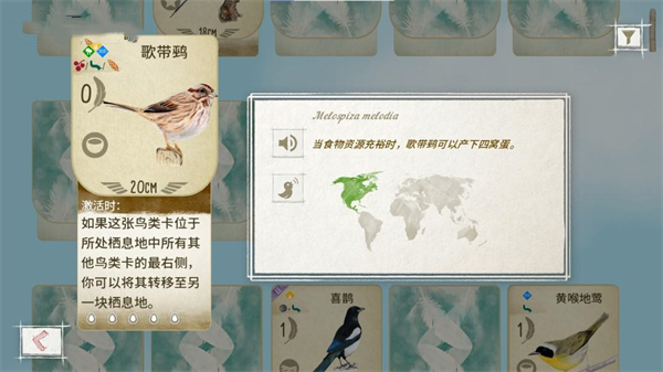 展翅翱翔手机版