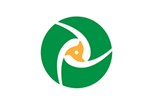 PDF Split and Merge Basic Edition