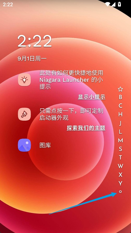 Niagara桌面安卓版