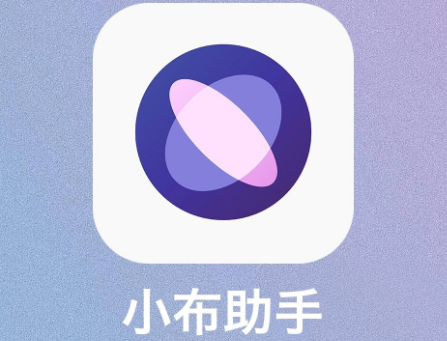 小布指令